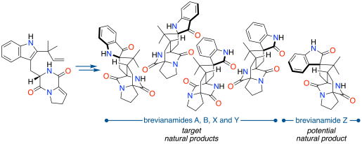 Brevianamide CS
